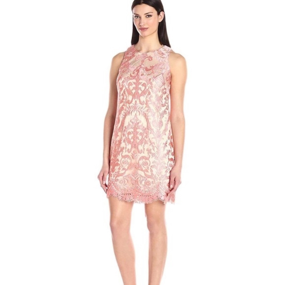 Eliza J‎ Blush Gold Dress Lace Sleeveless Lined